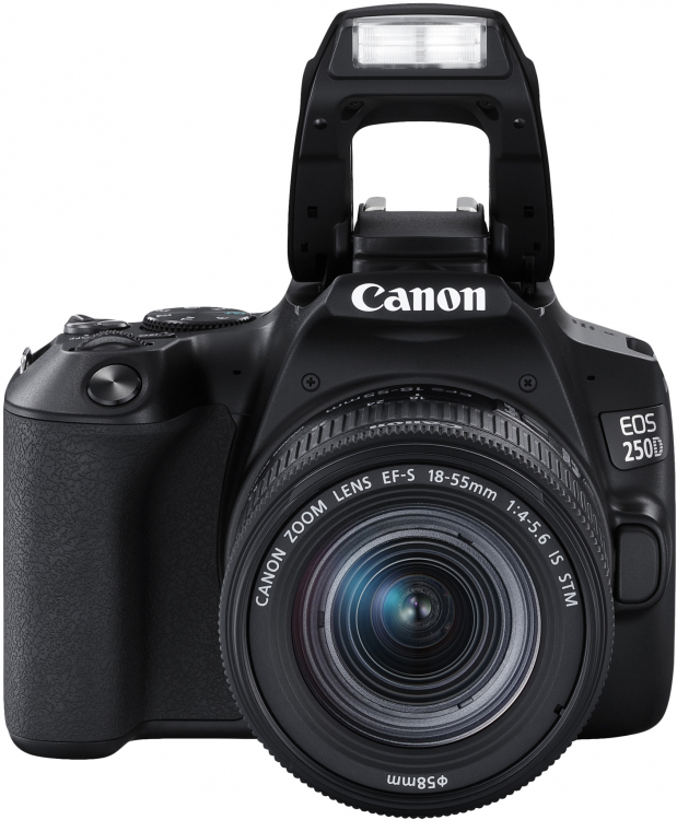 Фотоаппарат Canon EOS 250D Kit 18-55 IS STM
